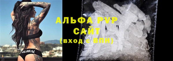 спиды Абаза